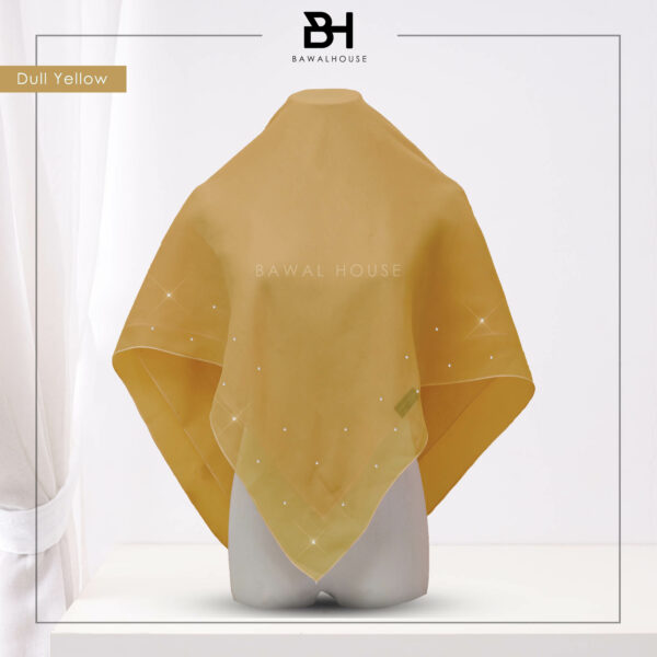 DULL YELLOW V KASIH