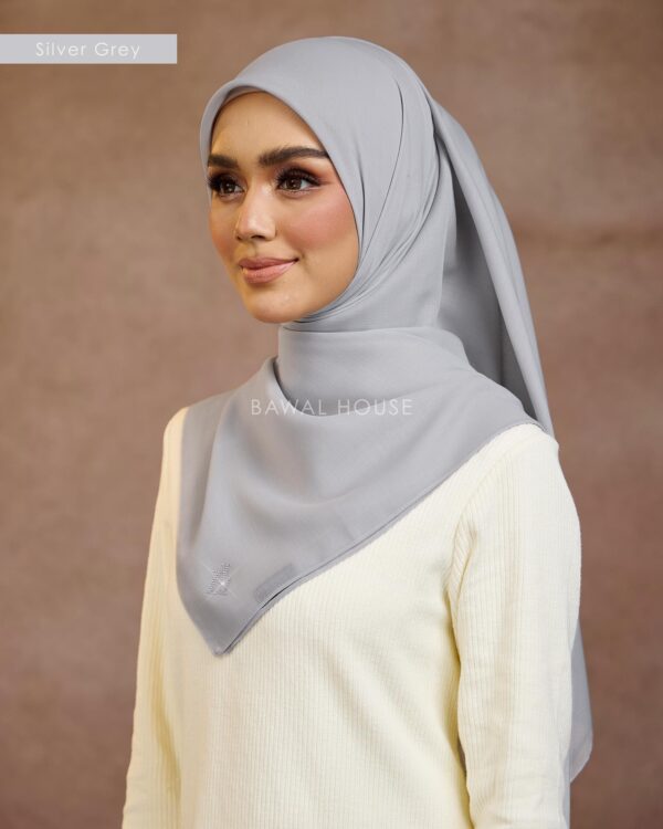 silver grey2